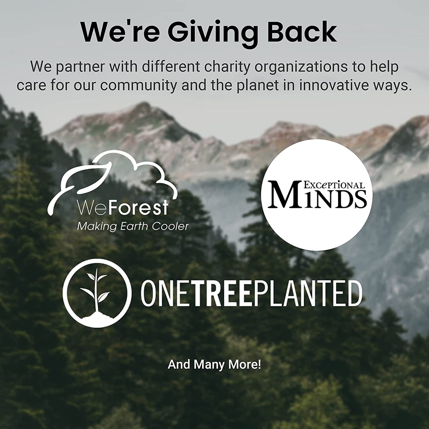 Etekcity Bathroom Scale for Body Weight, Highly Accurate Digital Electronic Weighing Machine for People, LCD Display, Large Size, 6Mm Tempered Glass for Safe Home Use, Batteries Included, 400 Lbs - Love All Things Home