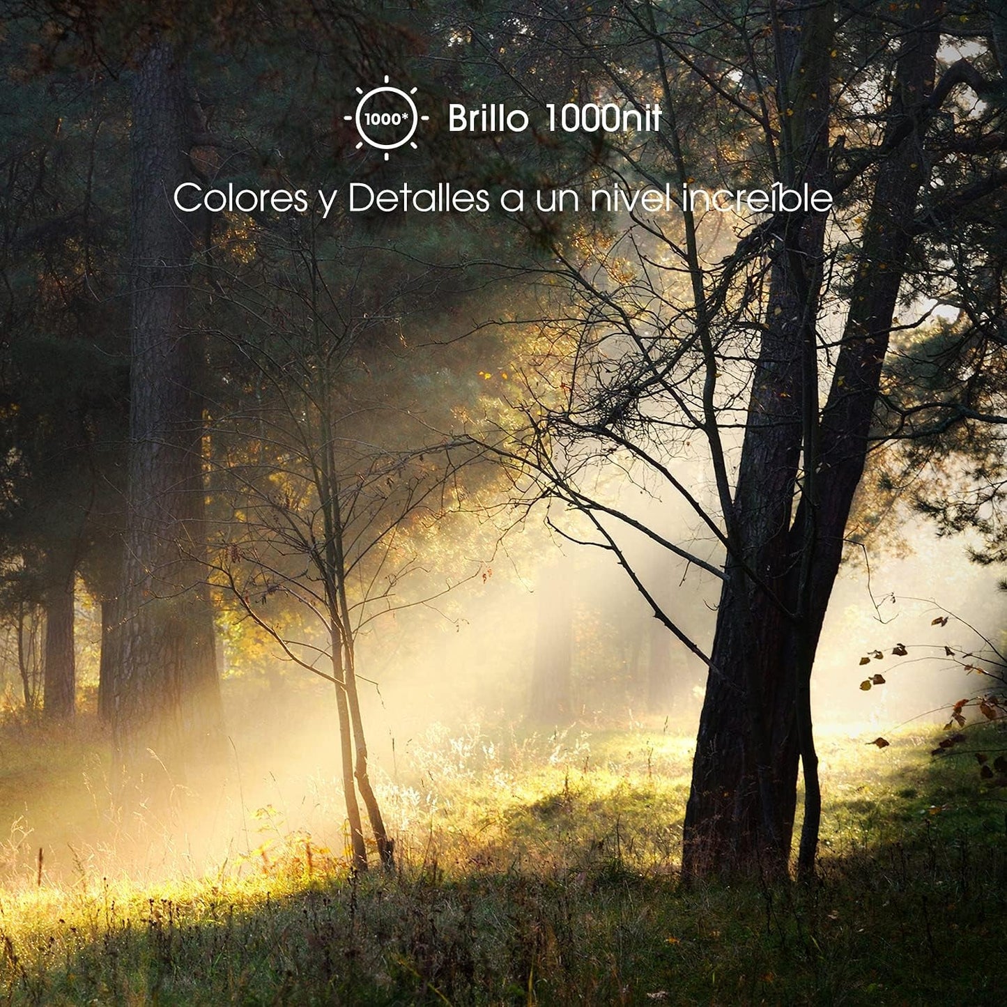 Hisense ULED Premium 65U7G QLED Series 65 - Inch Android 4K Smart TV with Alexa Compatibility, 1000 - Nit HDR10+, Dolby Vision & Atmos, 120Hz, HDMI 2.1, Game Mode Pro - Love All Things Home